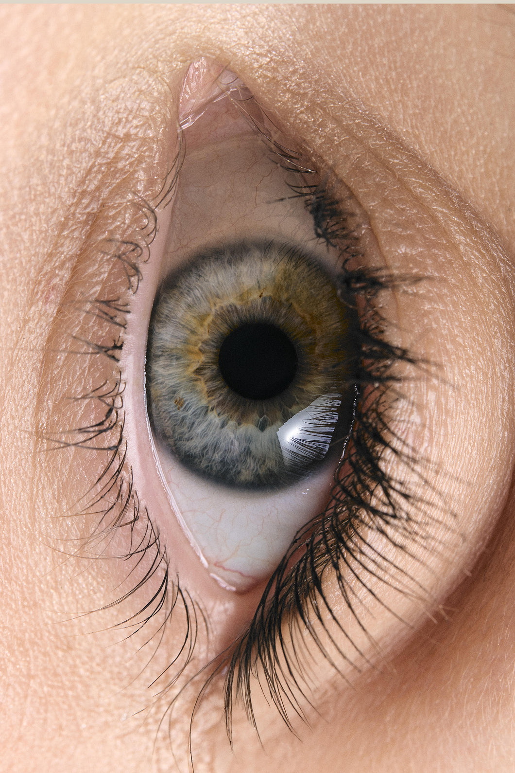 Dallixa® Kirpik Güçlendirici Serum 5 ml