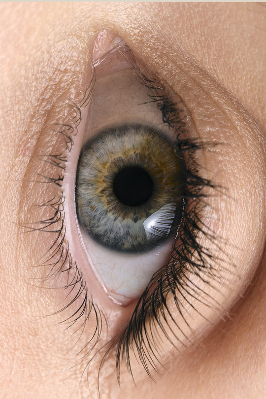 Dallixa® Kirpik Güçlendirici Serum 5 ml